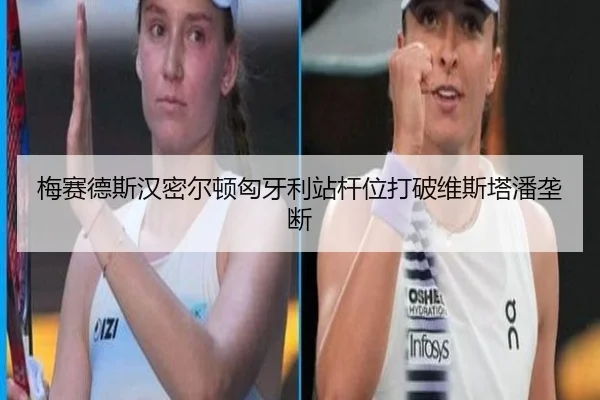 mei-sai-de-si-han-mi-er-dun-xiong-ya-li-zhan-gan-wei-da-po-wei-si-ta-pan-long-duan-2-452.jpg
